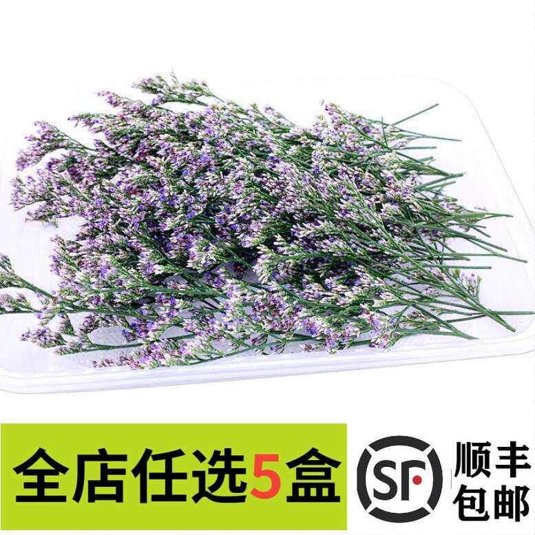 新鲜情人草约30小支 非薰衣草 西餐摆盘菜装饰餐饮摆盘鲜花草