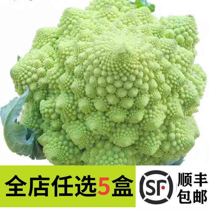 新鲜蔬菜罗马花椰菜宝塔菜