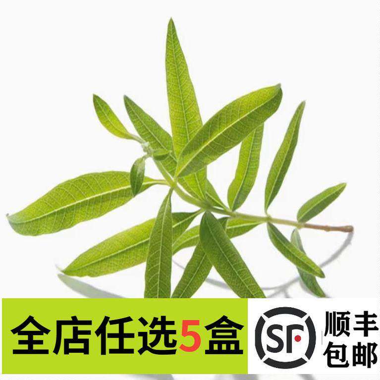 新鲜柠檬马鞭草 香蜂草鼠尾草芳香万寿菊 香草香料餐厅调酒酒吧