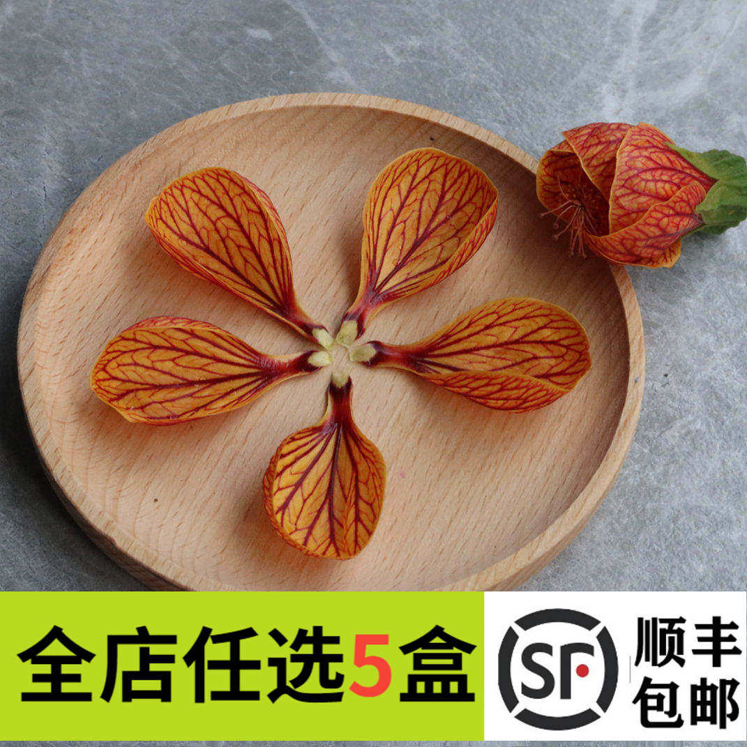 新鲜灯笼花花瓣25片/盒 金玲花 风铃花 灯笼花瓣摆盘装饰鲜花