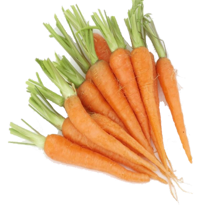 新鲜去叶水果手指胡萝卜500g