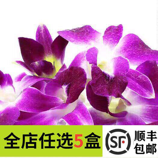 新鲜洋兰花 杨兰花 散称 摆盘装饰花草鲜花火锅点缀 250g 约70朵