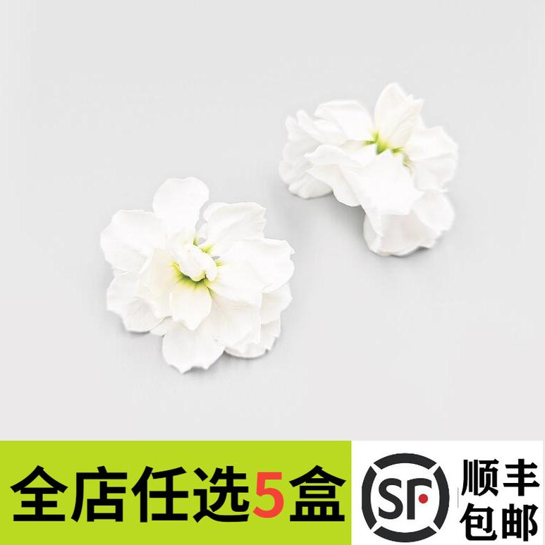 白色摆盘装饰花草罗兰花紫粉