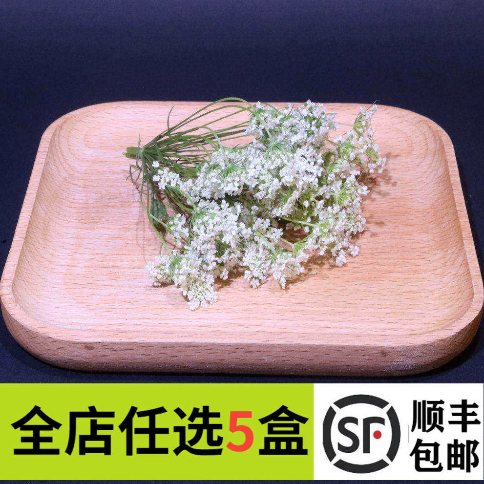 新鲜雪珠花50支 蕾丝花 白雪花 西餐摆盘装饰鲜花 蛋糕烘焙装饰