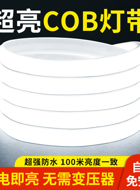 灯带户外防水led家用客厅吊顶自粘220v超亮cob室外柔性白光软灯条