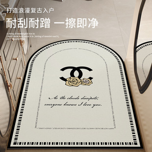 入户门地垫高级感进门口可擦免洗抗污门内门外耐脏法式玄关脚垫子