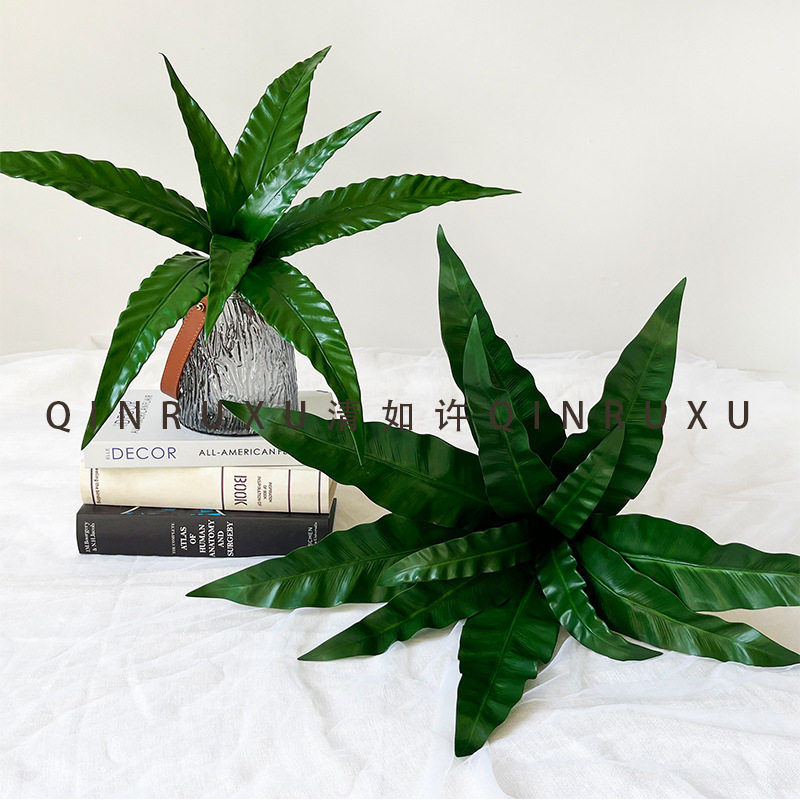 仿真蕨叶鸟巢蕨凤朝叶家居装饰植物造景绿植背景墙绿叶软装盆景图片