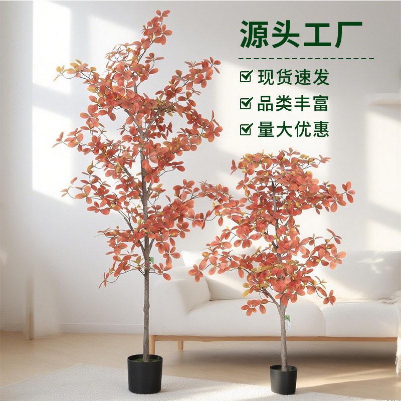 仿真植物秋色福禄桐树尤加利叶金钱叶树室内落地盆景北欧风装饰