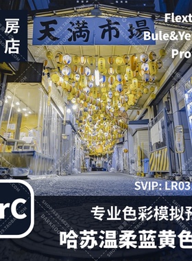 暗房商店 哈苏温柔蓝黄色调 胶片冲扫模拟 LR/ACR配置文件