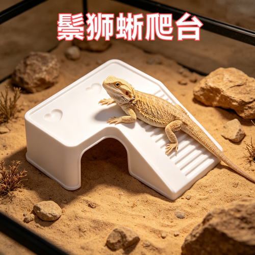 鬃狮蜥专用晒台爬台饲养缸装饰造景爬宠晒背喂食浮台躲避休息屋
