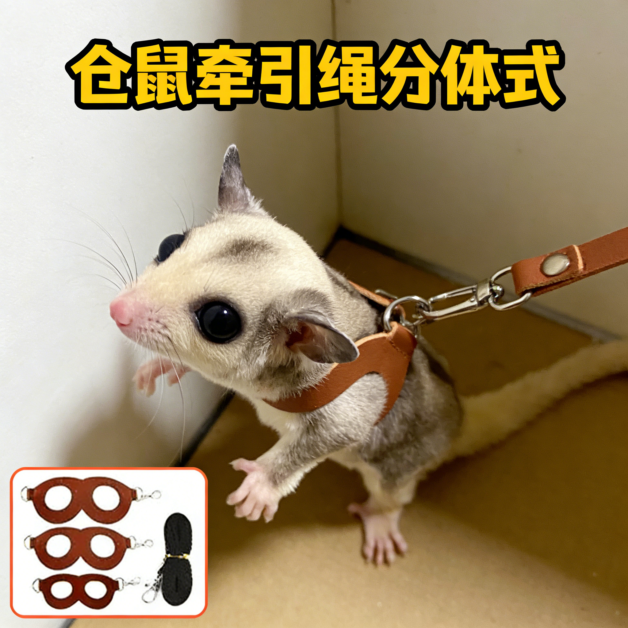 仓鼠牵引绳分体式遛鼠绳子宠物金丝熊蜜袋鼯松鼠专用出绳防咬挣脱,宠物/宠物食品及用品,玩具/造景装饰,淘宝优惠券,粉丝福利购,淘宝优惠卷