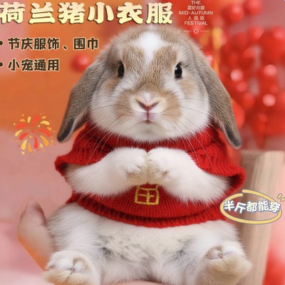 宠物小兔子衣服喜庆可爱超