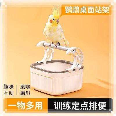 鹦鹉拉屎神器厕所定点排便