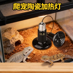 爬宠陶瓷加热灯陆乌龟蜥蜴芦丁鸡狗狗保温灯宠物专用无光取暖灯泡