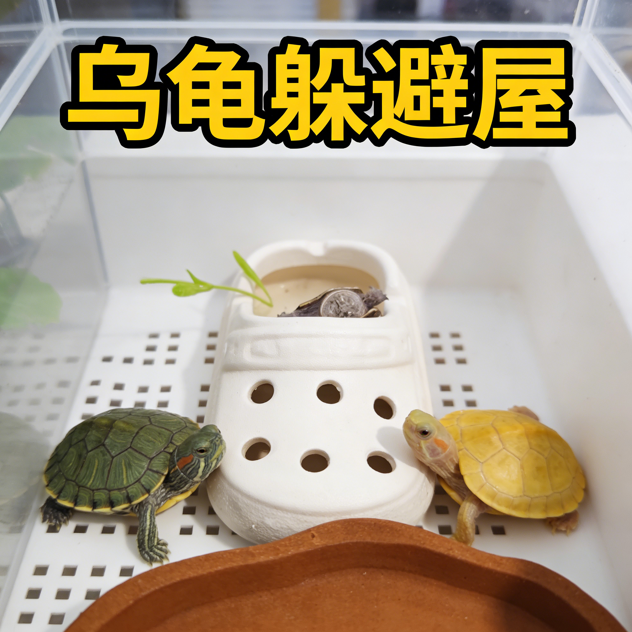 洞洞鞋乌龟躲避屋宠物小鱼陶瓷睡觉窝龟缸鱼缸可爱造景装饰玩具,宠物/宠物食品及用品,爬宠缸/箱,淘宝优惠券,粉丝福利购,淘宝优惠卷
