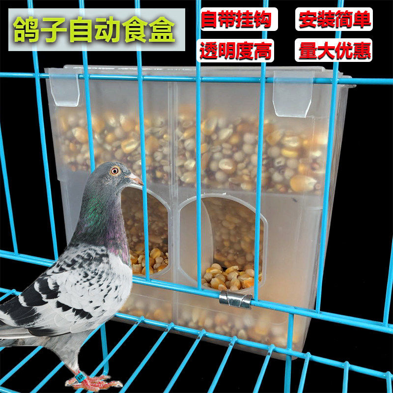 鸽子用品用具防撒食槽信