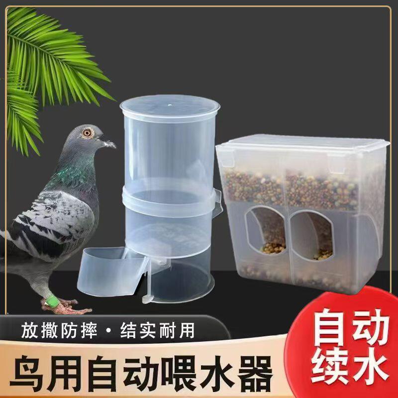 新款信鸽用具自动水壶芦
