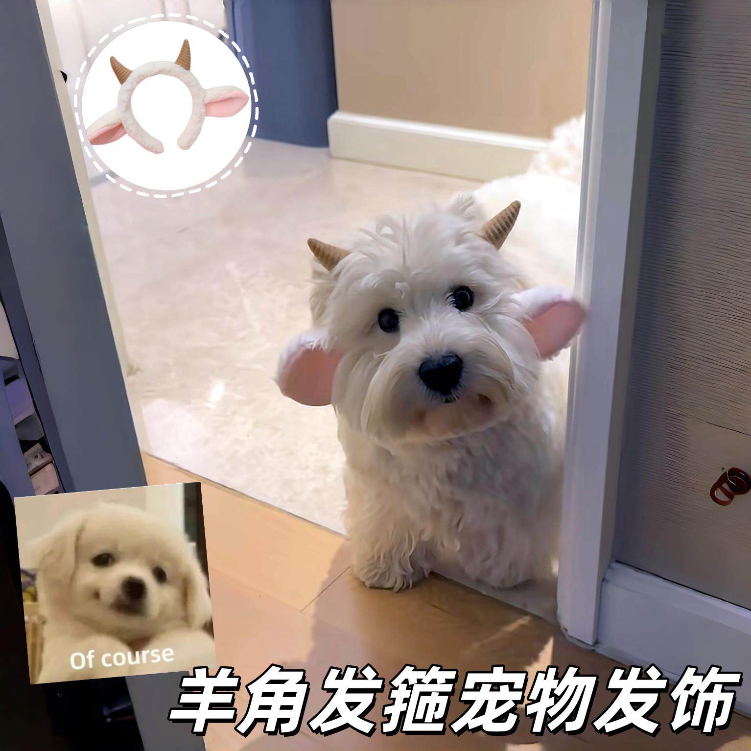 羊角发箍宠物发饰创意可