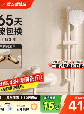 日丰奶油风白色淋浴花洒套装家用全铜主体小户型极简易无顶喷花洒