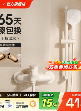 日丰奶油风白色淋浴花洒套装家用全铜主体小户型极简易无顶喷花洒