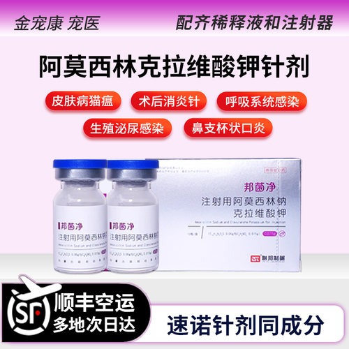 阿莫西林克拉维酸钾口炎鼻支肺炎