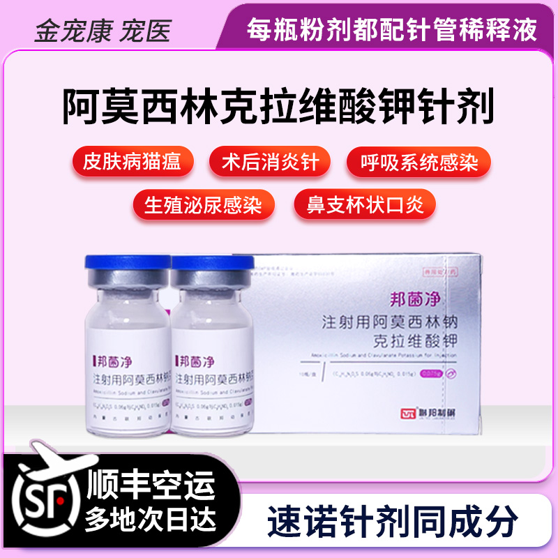 阿莫西林克拉维酸钾口炎鼻支肺炎