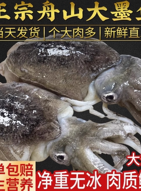 舟山野生大墨鱼鲜活冷冻海捕东海特大目鱼乌贼海鲜水产10斤整箱发