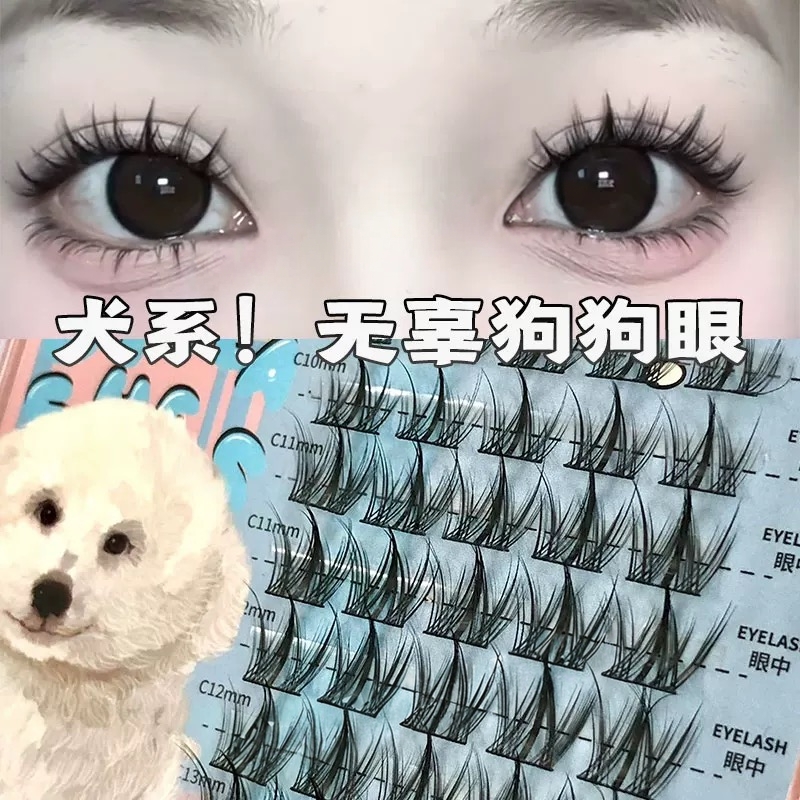 【适合任何人群】假睫毛三部曲