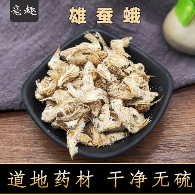 中药滋补雄蚕蛾公男性用晚蛾子未交配雄蚕蛾可泡酒材料蚕蛾250克