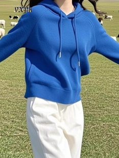 克莱因蓝连帽卫衣女2025秋季宽松显瘦针织衫毛衣洋气内搭打底上衣