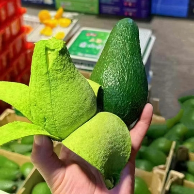 云南野人山牛油果14~18颗新鲜水果长条牛油果鳄梨宝宝辅食包邮