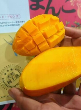 正宗海南贵妃芒礼盒装5斤蜂蜜熊芒果新鲜水果树上熟芒果核小细腻