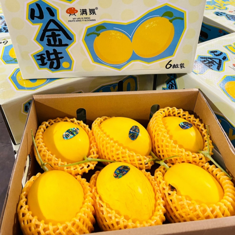 新货小金珠蜜瓜礼盒装6颗当季新鲜水果黄金哈密瓜脆甜多汁顺丰