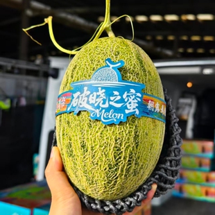 破晓之蜜青帝蜜瓜礼盒4颗大果新鲜水果哈密瓜网纹瓜脆甜多汁包邮