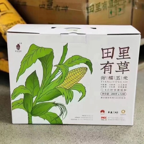 田里有草甜糯玉米东北新鲜玉米