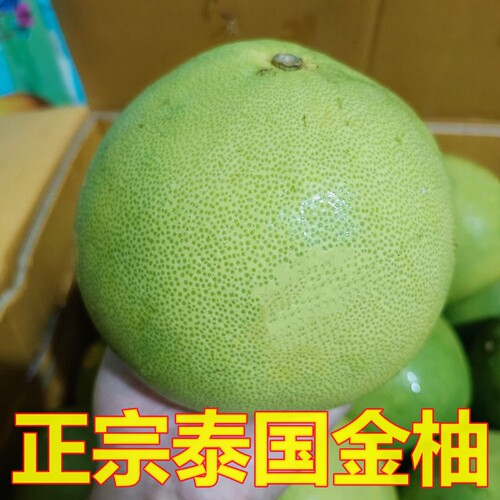 正宗泰国金柚泰国柚子青柚蜜柚ick甜柚当季新鲜水果泰柚甜嫩多汁