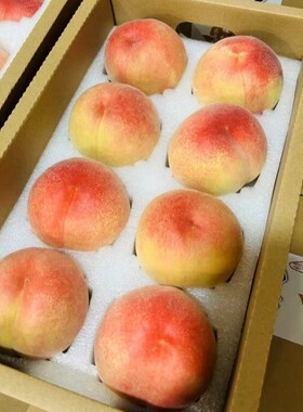 正宗阳山水蜜桃礼盒8颗香甜多汁