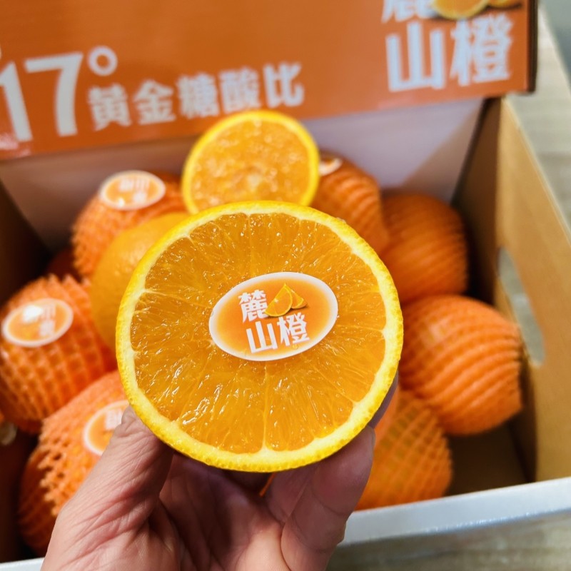 白富美麓山橙子礼盒装8斤当季新鲜水果脐橙手剥甜橙甜嫩多汁包邮