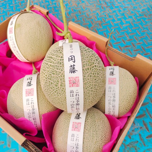 现货冈藤蜜瓜6个装静冈牛三网纹瓜当季新鲜水果海南玫珑蜜瓜包邮