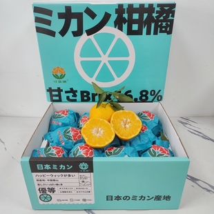 寸金地春见粑粑柑礼盒8斤当季新鲜水果丑八怪橘子皮薄甜嫩汁包邮