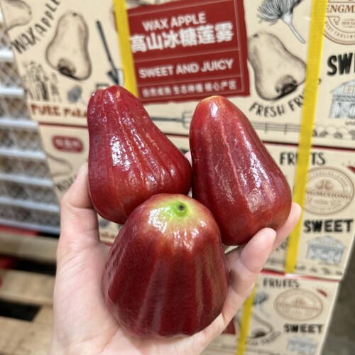 台湾品种高糖莲雾黑金刚莲雾新鲜水果海南树上熟蜜风铃莲雾清甜汁