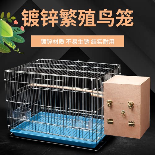 加粗镀锌繁殖鹦鹉鸟笼自带侧门