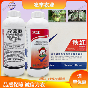 整箱批发秋红异菌脲悬浮剂异菌尿杀菌剂番茄早疫病苹果树斑点落叶