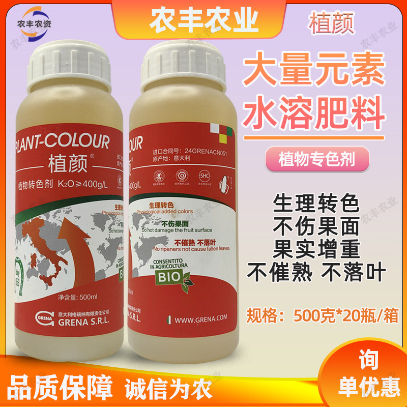 植颜植物转色大枣柑橘转色