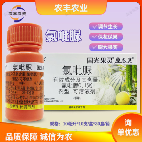 国光座瓜灵0.1%氯吡脲黄瓜点花药