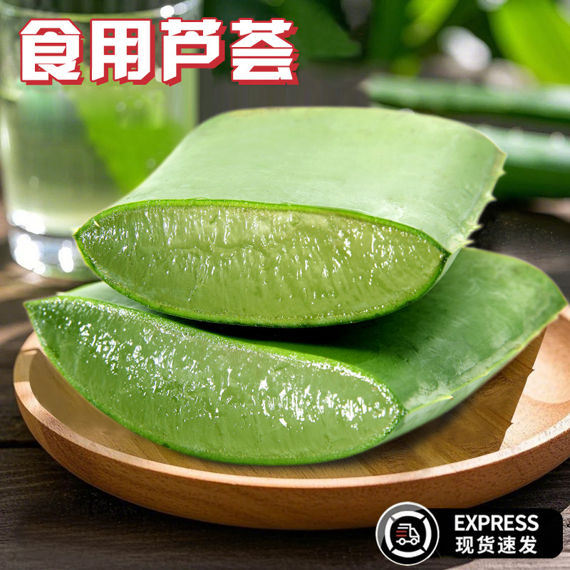 食用芦荟叶片食用仙人掌叶片直播间吃播同款芦荟煲汤食谱火锅食材