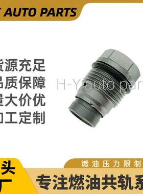 1110010028共轨1110010015泄压阀5317174限制阀1110010027