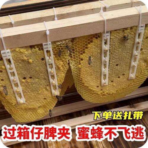 顶格巢脾夹过箱导础夹子野蜂过箱土养圆桶夹脾塑料夹绑脾条固定条