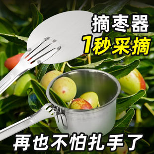 摘酸枣神器摘水果工具摘山枣采野果神器不锈钢山楂金桔杨梅采摘