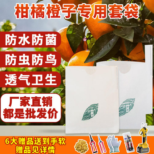 一品金农枇杷柑橘粑粑柑橙子套袋